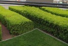 Oberinacommercial-landscaping-1.jpg; ?>